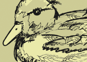 Daniel the duck's thumbnail