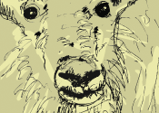 Goat's thumbnail