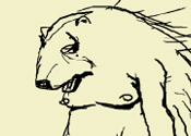 Terry the Porcupine thumbnail
