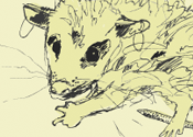 Randall the Possum's thumbnail
