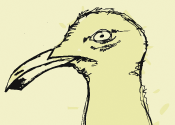 Eddie the Seagull's thumbnail